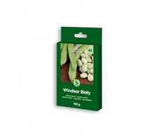 Daržinių pupų sėklos WINDSOR Baltas, 100 g