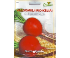 Daržinių žemaūgių pupelių DIOR sėklos, 7 g