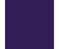 Dažai purškiami akriliniai Liquitex 400ml, Dioxazine Violetinė