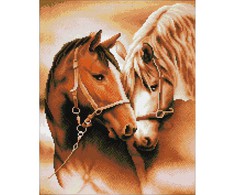 Diamond Dotz Deimantinė mozaika TOGETHERESS 50x40 cm