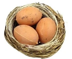 Dekoras Kiaušiniai lizde Hanmar 6cm/2vnt.