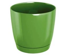 Prosperplast Dekoratyv. gėlių vazonas su padėklu Coubi Round P Ø18cm H16.5cm plastikinis/žalias