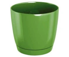 Dekoratyv. gėlių vazonas su padėklu Coubi Round P Ø12cm H11cm plastikinis/žalias