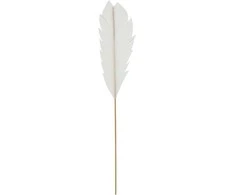 Dekoratyvi plunksna Verso 30cm/12vnt.
