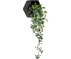 Dekoratyvinis augalas 45 cm juodas vazonas Atmosphera 155634A
