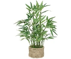 Bikuvalt Dekoratyvinis augalas Bambukas 32x46 cm, pintas vazonas Atmosphera 204209