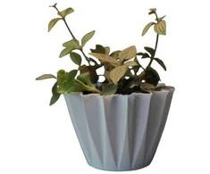 Dekoratyvinis gėlių vazonas Ø10.5cm H10cm baltas