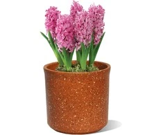 Dekoratyvinis gėlių vazonas Ø11cm H11cm keraminis/rudas