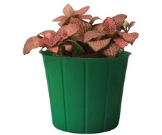 Dekoratyvinis gėlių vazonas Ø12.4cm H9.8cm žalias