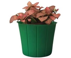 Dekoratyvinis gėlių vazonas Ø13.7cm H9.8cm žalias