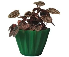 Dekoratyvinis gėlių vazonas Ø14cm H14cm tamsiai žalias