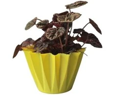 Dekoratyvinis gėlių vazonas Ø14cm H14cm geltonas