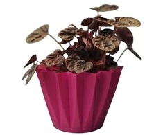 Dekoratyvinis gėlių vazonas Ø14cm H14cm tamsiai rožinis