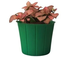 Dekoratyvinis gėlių vazonas Ø19.1cm H14.3cm žalias