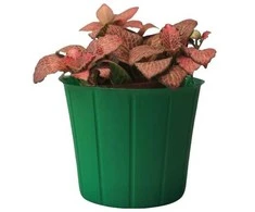 Dekoratyvinis gėlių vazonas Ø21.9cm H14.9cm žalias