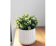 Dekoratyvinis gėlių vazonas Barcelona Ø12.5cm H15.5cm keraminis/baltas