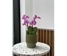 Dekoratyvinis gėlių vazonas Barcelona Ø13cm H15cm keraminis/žalias
