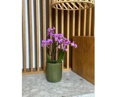 Dekoratyvinis gėlių vazonas Barcelona Ø13cm H15cm keraminis/žalias