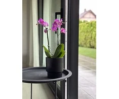 Dekoratyvinis gėlių vazonas Barcelona Ø13cm H15cm keraminis/juodas