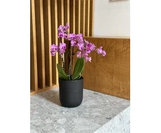 Dekoratyvinis gėlių vazonas Barcelona Ø13cm H15cm keraminis/juodas