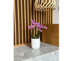 Dekoratyvinis gėlių vazonas Barcelona Ø13cm H15cm keraminis/baltas