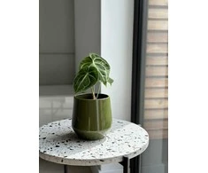 Dekoratyvinis gėlių vazonas Barcelona Ø15cm H15cm keraminis/žalias