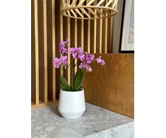 Dekoratyvinis gėlių vazonas Barcelona Ø15cm H15cm keraminis/baltas