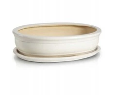 Dekoratyvinis gėlių vazonas su padėklu Bonzai D19x13cm/H5cm baltas