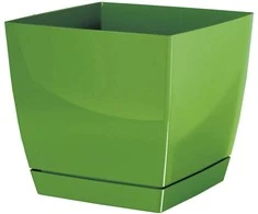 Prosperplast Dekoratyvinis gėlių vazonas su padėklu Coubi Square P 13.5x13.5x12.4cm plastikinis/žalias