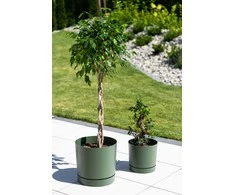 Dekoratyvinis gėlių vazonas Tubo P Ø14.8cm H14.7cm plastikinis/žalias