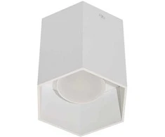 Dekoratyvinis šviestuvas BESK φ100*H100mm