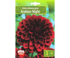 Dekoratyvinių jurginų svogūnėlis, lot. DAHLIA ARABIAN NIGHT, 1 vnt