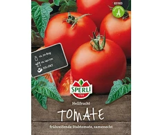 Dekoratyvinių saulėgrąžų sėklos HENRY WILDE, 80 g