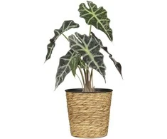 Dekoratyvus gėlių vazonas Ø16cm H14cm šviesiai rudas
