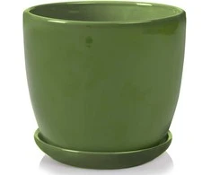 Dekoratyvus gėlių vazonas su padėklu POLNIX Ø13cm/H12cm keraminis/žalias