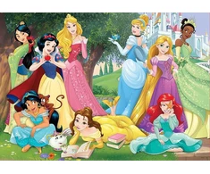 Educa dėlionė 500 vnt. - Disney princesės