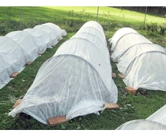 Dengiamoji agrotekstilė nuo šalčių BALTA 3,2x5m 50g AWW5032005