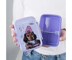 Dėžutė maistui su skyreliais Kite 420ml, vaikams, mokyklai