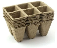 Dėžutės 6 daigams 3.5x3.5cm/4vnt. kartoniniai