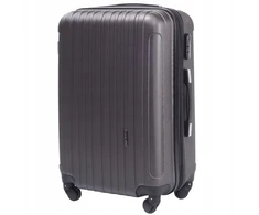 Didelis lagaminas Wings L 2011, pilkas