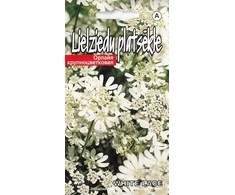 Didžiažiedė orlaja 0.3g Baltas Lace