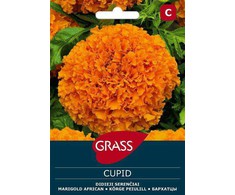 Didžiųjų serenčių sėklos CUPID, 0,5 g