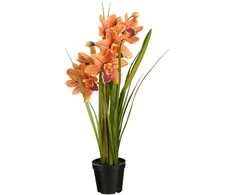 Dirbtinė cimbidija vazone H71cm oranžinė