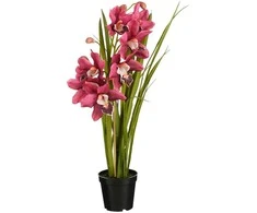Dirbtinė cimbidija vazone H71cm tamsiai rožinė