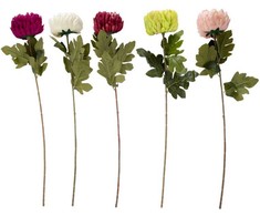 Home4You Dirbtinė gėlė FLOWERLY H74cm, chrizantema