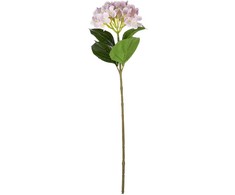 Dirbtinė gėlė ILAJA HYDRANGEA, 3 spalvos, 68 cm