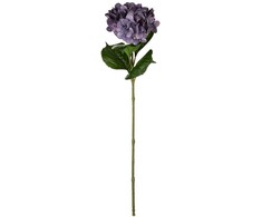 Dirbtinė gėlė ILAJA HYDRANGEA, 3 spalvos, 68 cm