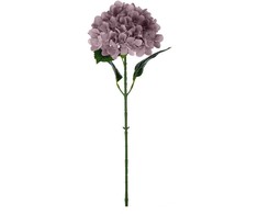 Dirbtinė gėlė ILAJA HYDRANGEA, 3 spalvų, 66 cm