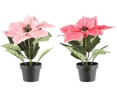 Dirbtinė gėlė puansetija 20 cm (2 spalvų) 4Living 620774