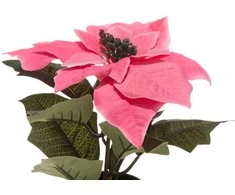 Dirbtinė gėlė puansetija 20 cm (2 spalvų) 4Living 620774
